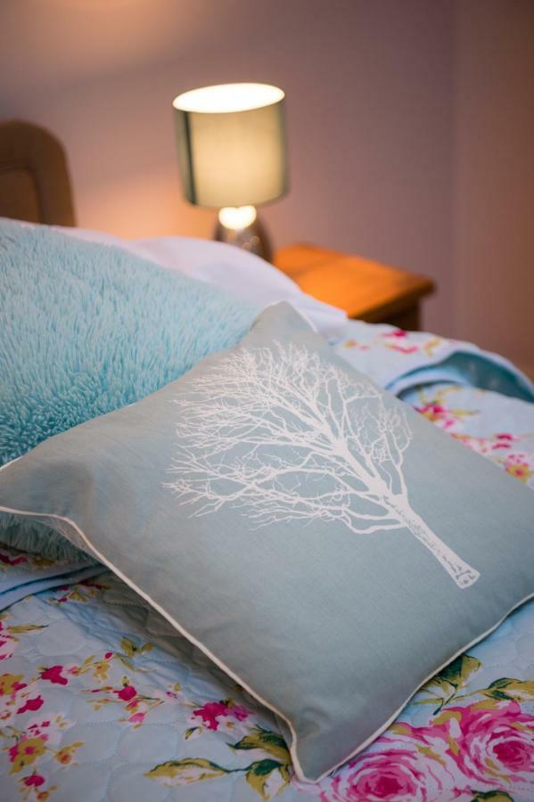 Y Grange Bed & Breakfast Llanfihangel-y-Creuddyn ภายนอก รูปภาพ
