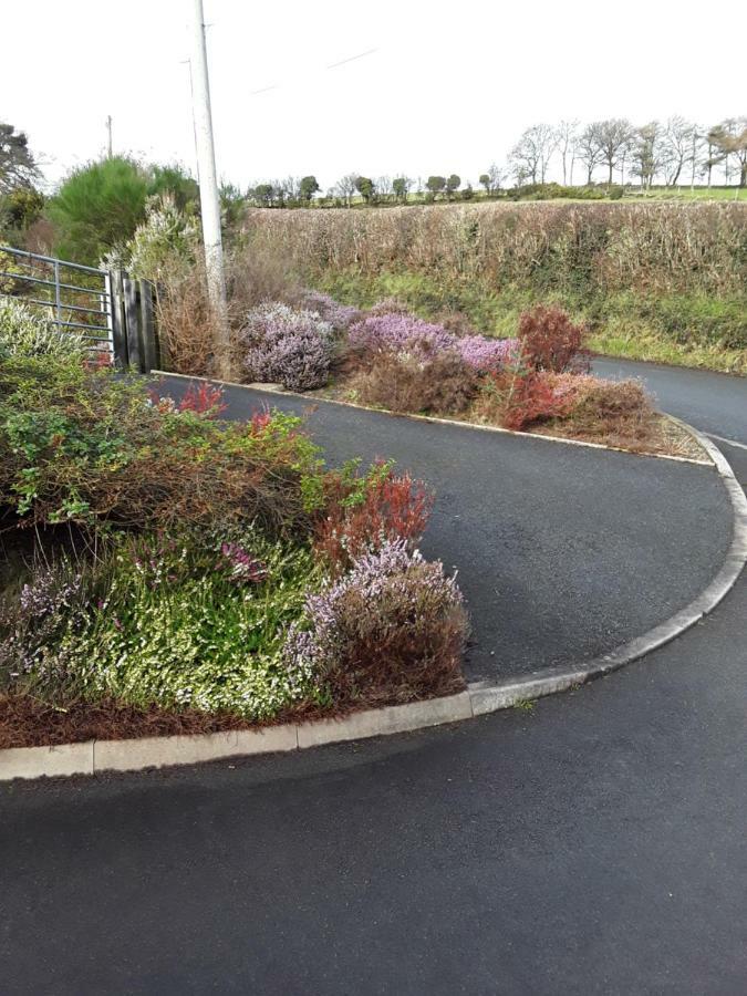 Y Grange Bed & Breakfast Llanfihangel-y-Creuddyn ภายนอก รูปภาพ